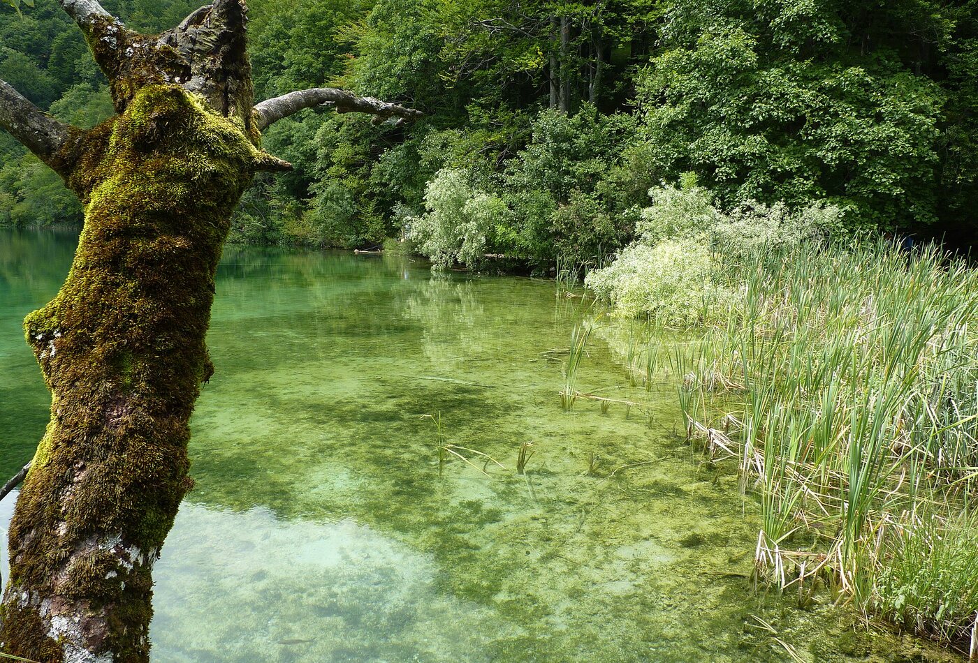 Plitvice Lakes и shoulder season Croatia