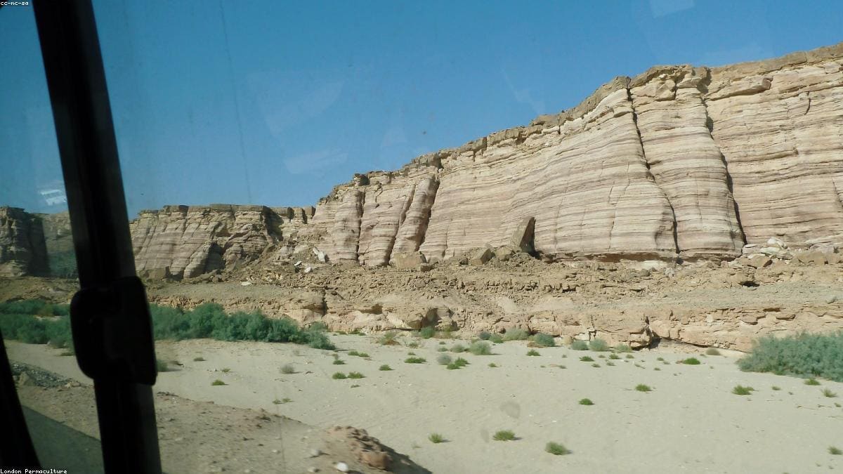 Синай: Tiran Island и лодочные маршруты