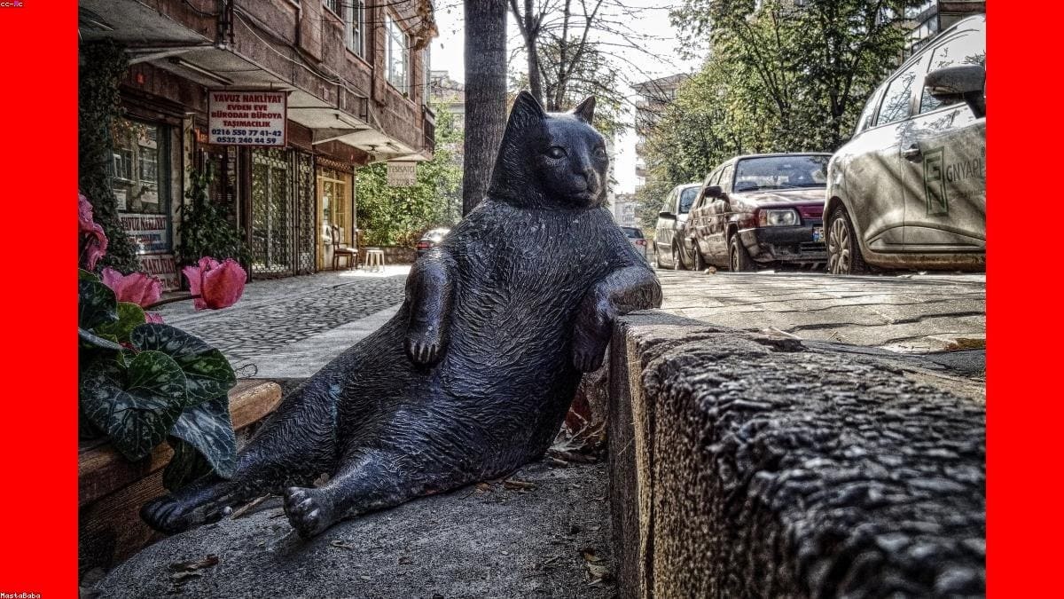 Александрия и Средиземноморье: Где находится регион и кому он подходит