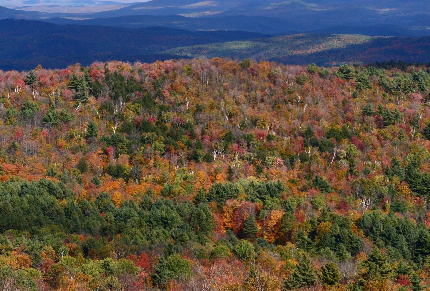 Vermont fall foliage