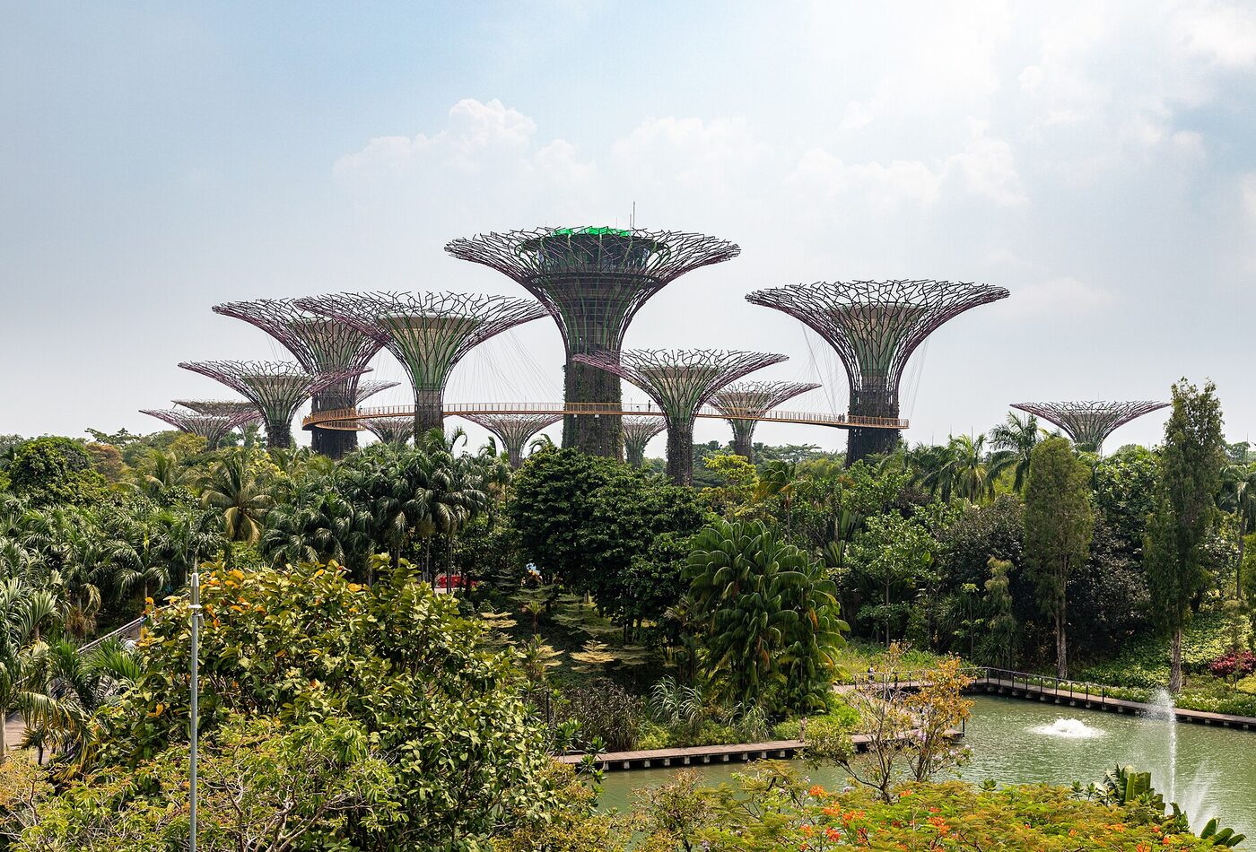 Gardens by the Bay Singapore первый визитr route