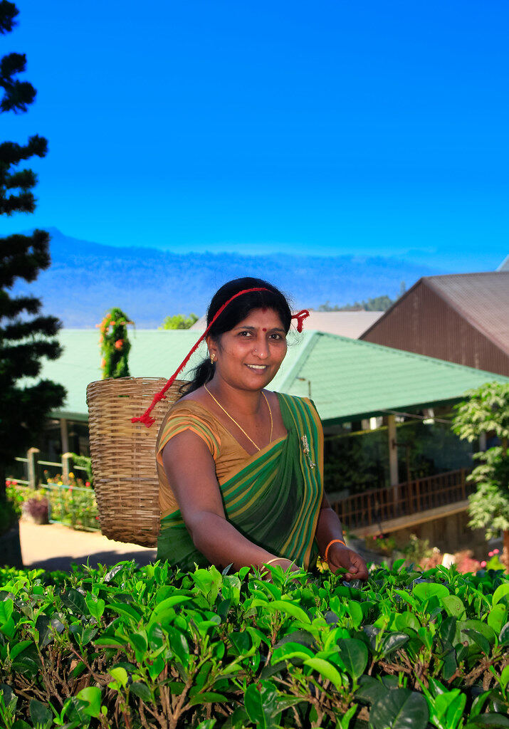 Nuwara Eliya Town, Шри-Ланка